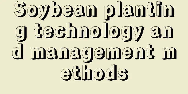 Soybean planting technology and management methods