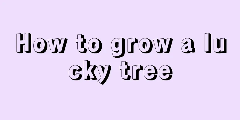 How to grow a lucky tree