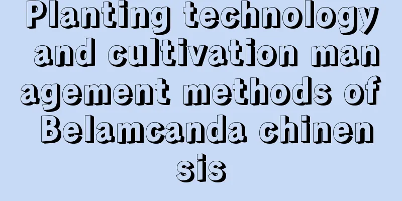 Planting technology and cultivation management methods of Belamcanda chinensis