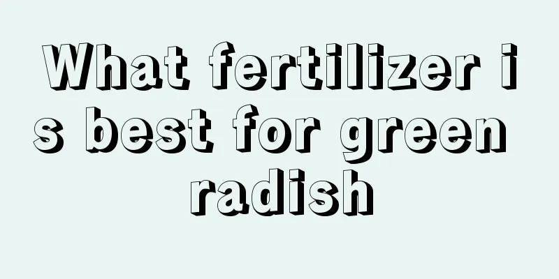 What fertilizer is best for green radish