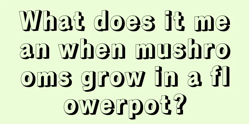 What does it mean when mushrooms grow in a flowerpot?