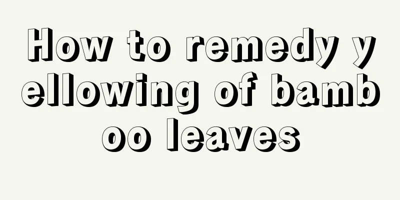 How to remedy yellowing of bamboo leaves