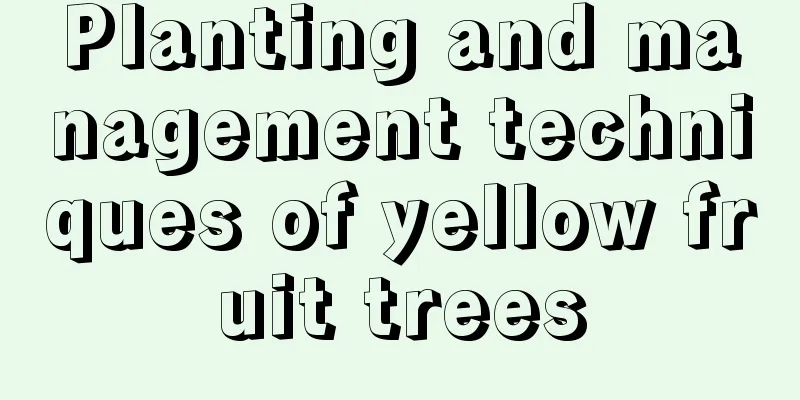 Planting and management techniques of yellow fruit trees