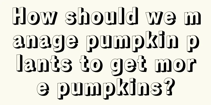 How should we manage pumpkin plants to get more pumpkins?