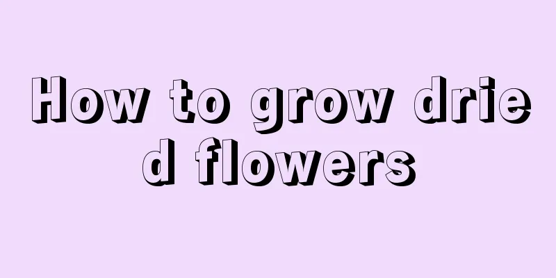 How to grow dried flowers