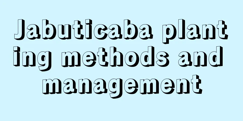 Jabuticaba planting methods and management