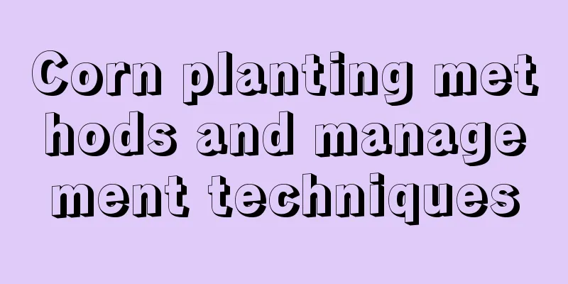 Corn planting methods and management techniques