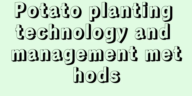 Potato planting technology and management methods