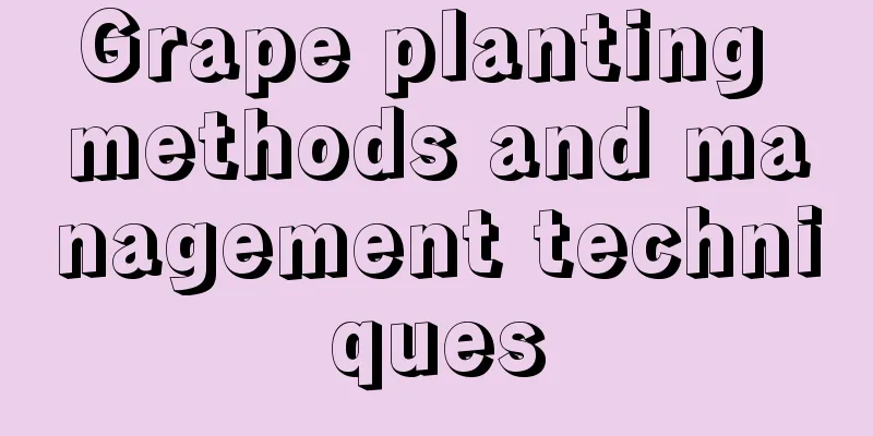 Grape planting methods and management techniques