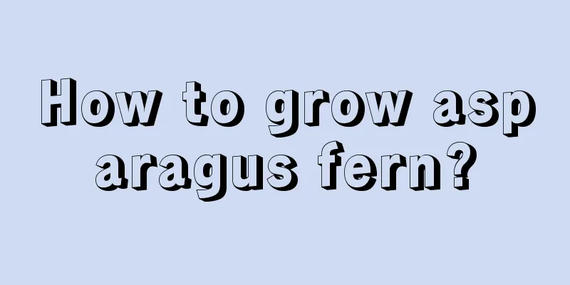 How to grow asparagus fern?