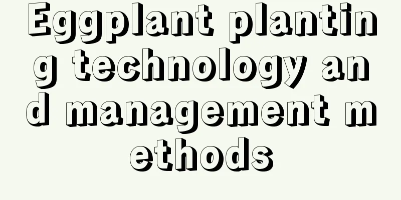 Eggplant planting technology and management methods