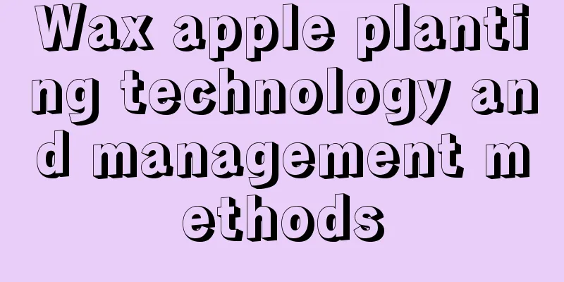 Wax apple planting technology and management methods