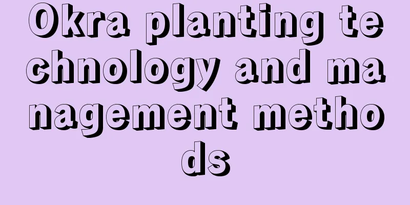 Okra planting technology and management methods