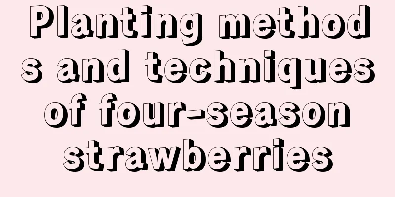 Planting methods and techniques of four-season strawberries