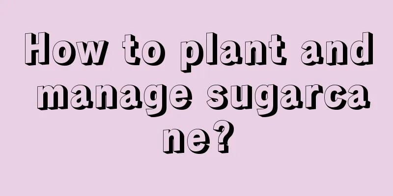 How to plant and manage sugarcane?