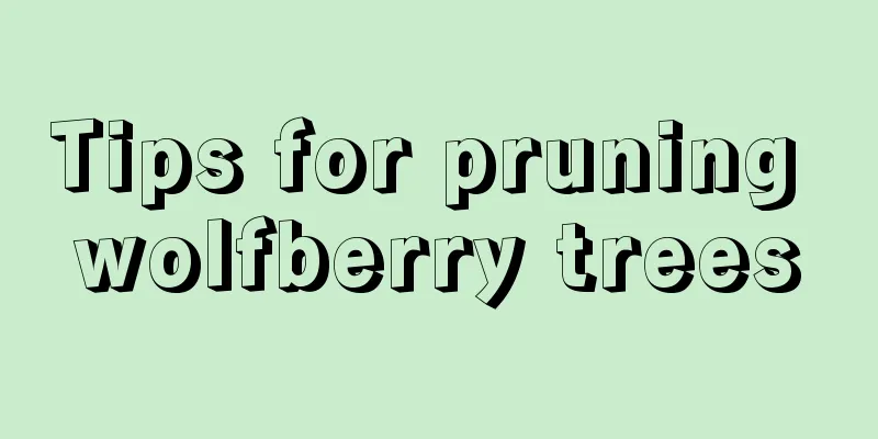 Tips for pruning wolfberry trees