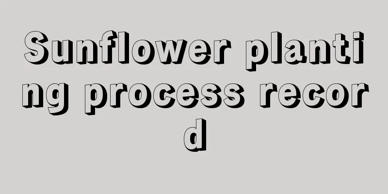 Sunflower planting process record