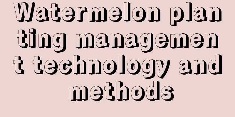 Watermelon planting management technology and methods