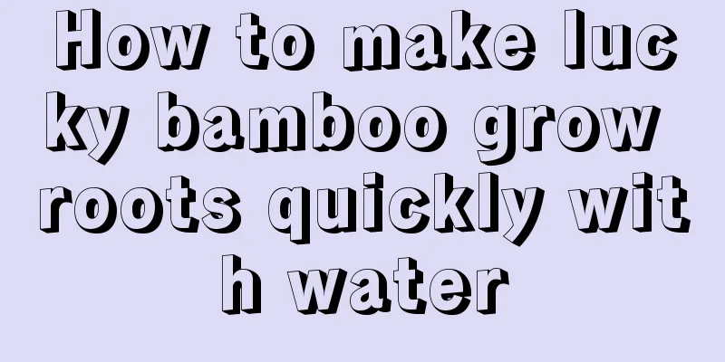 How to make lucky bamboo grow roots quickly with water