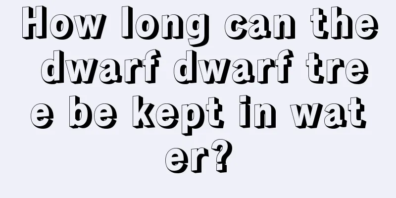 How long can the dwarf dwarf tree be kept in water?