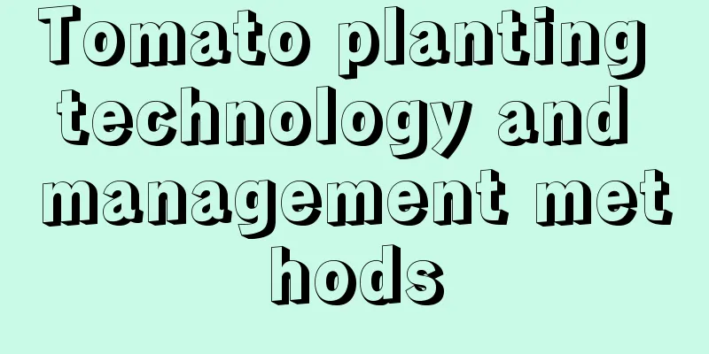 Tomato planting technology and management methods