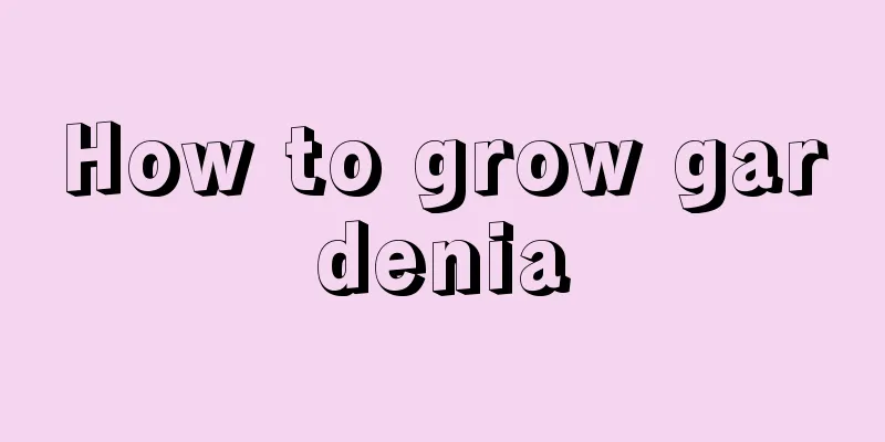 How to grow gardenia