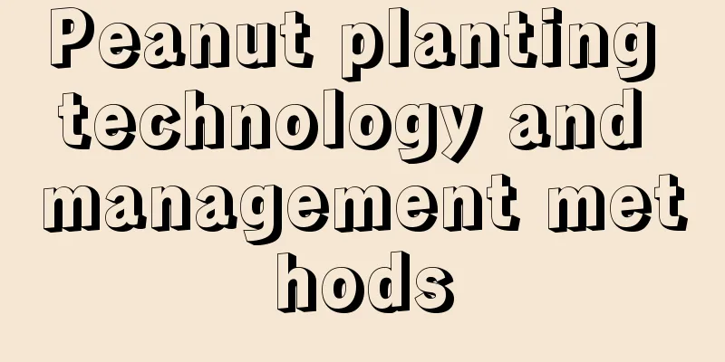 Peanut planting technology and management methods