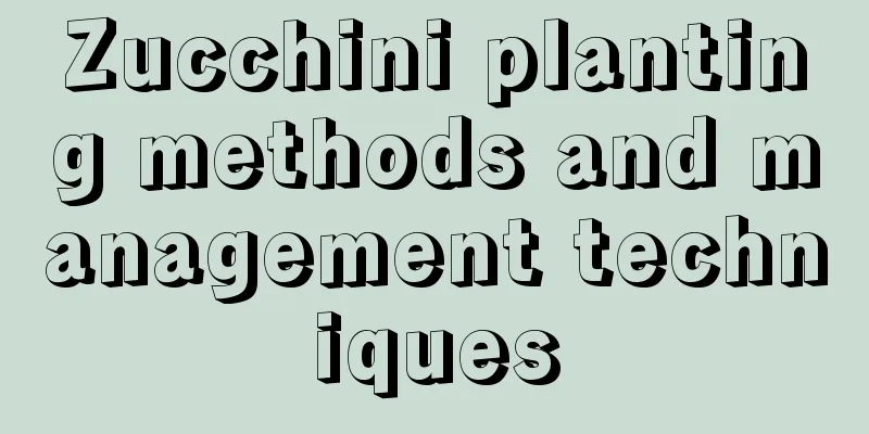 Zucchini planting methods and management techniques