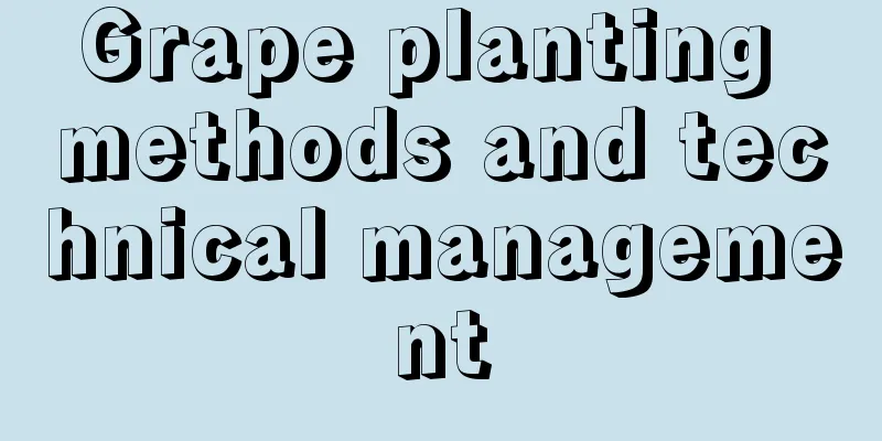 Grape planting methods and technical management