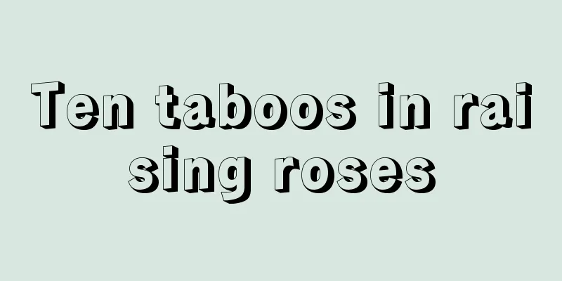 Ten taboos in raising roses