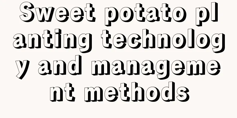 Sweet potato planting technology and management methods