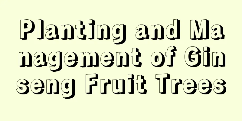 Planting and Management of Ginseng Fruit Trees