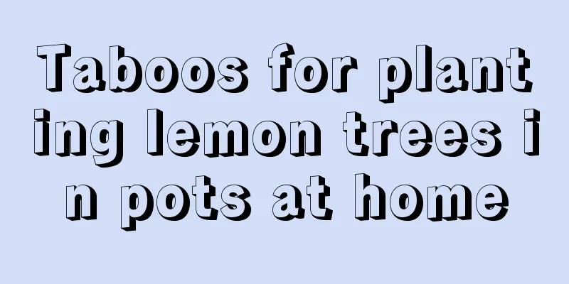 Taboos for planting lemon trees in pots at home