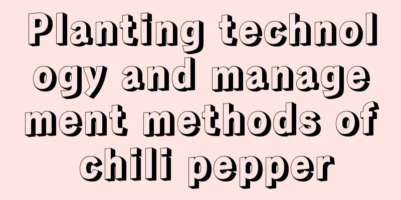 Planting technology and management methods of chili pepper