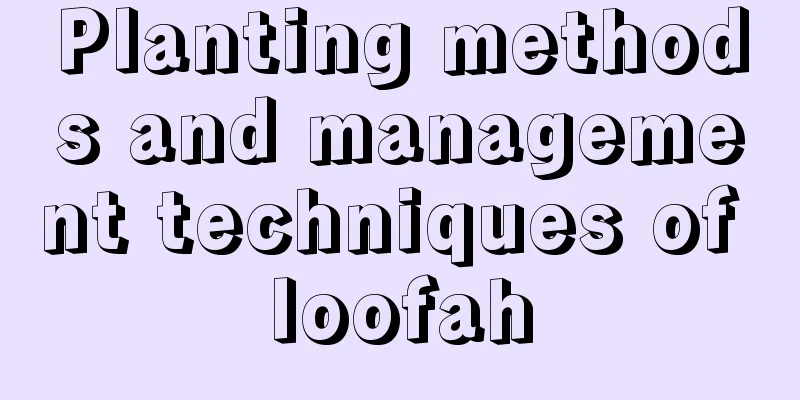 Planting methods and management techniques of loofah