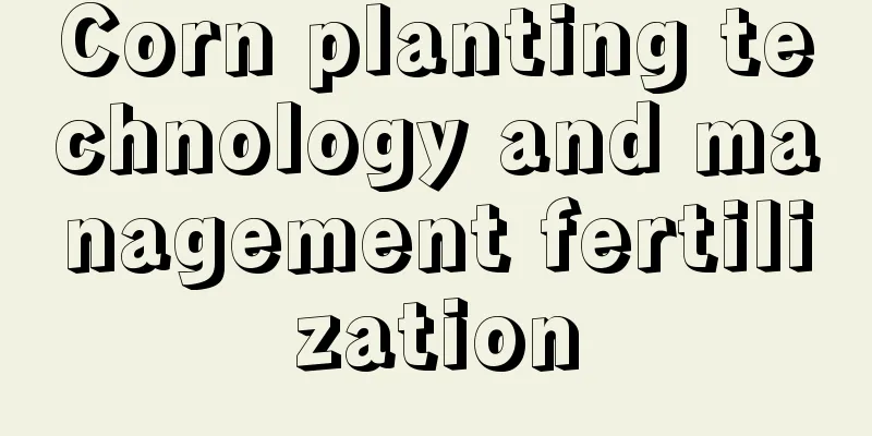 Corn planting technology and management fertilization