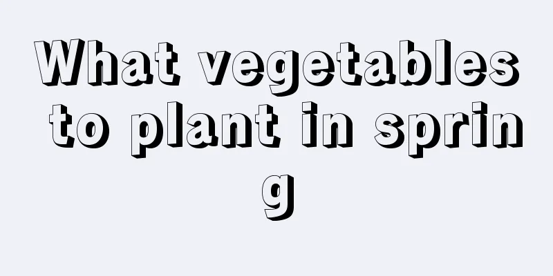 What vegetables to plant in spring