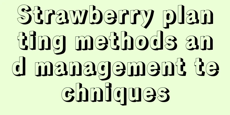 Strawberry planting methods and management techniques