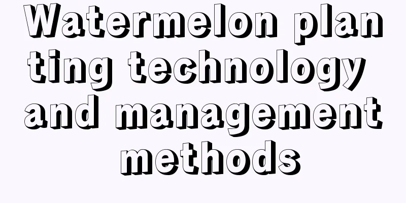 Watermelon planting technology and management methods