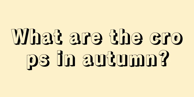 What are the crops in autumn?