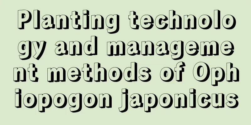 Planting technology and management methods of Ophiopogon japonicus