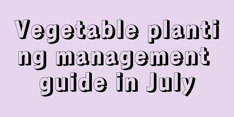 Vegetable planting management guide in July