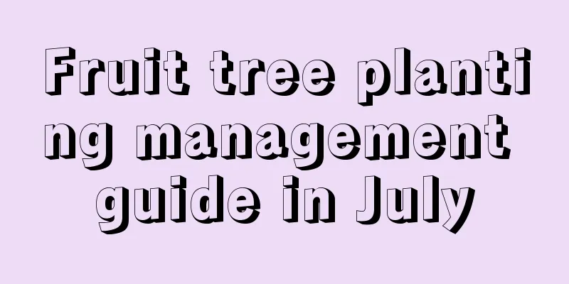 Fruit tree planting management guide in July