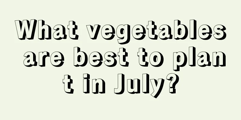 What vegetables are best to plant in July?