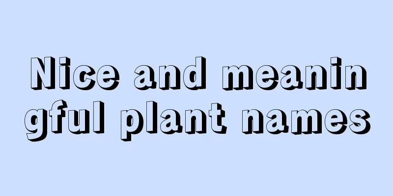 Nice and meaningful plant names