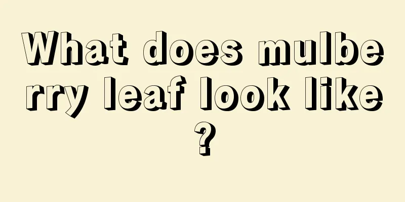 What does mulberry leaf look like?