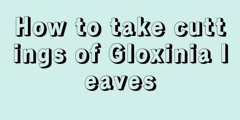 How to take cuttings of Gloxinia leaves