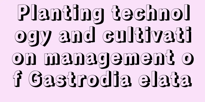 Planting technology and cultivation management of Gastrodia elata