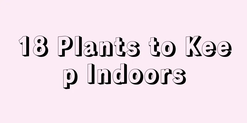 18 Plants to Keep Indoors