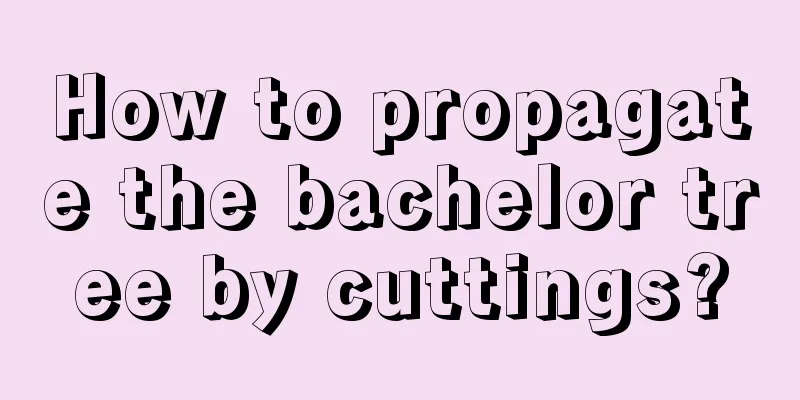 How to propagate the bachelor tree by cuttings?